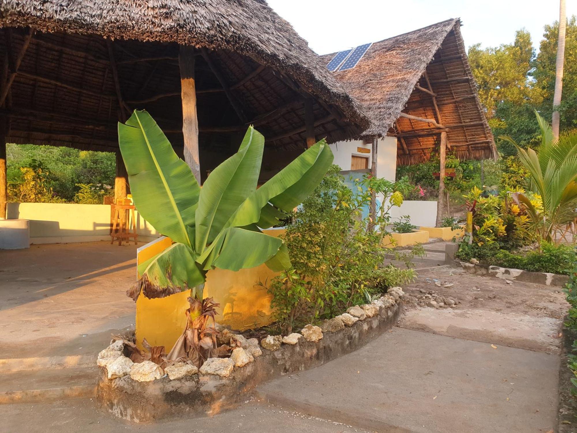 Rasta House Kilindoni Exterior foto